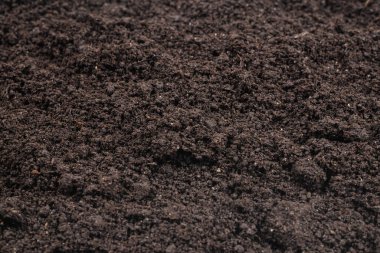 Bitkiler için kara toprak. Üst görünüm. 