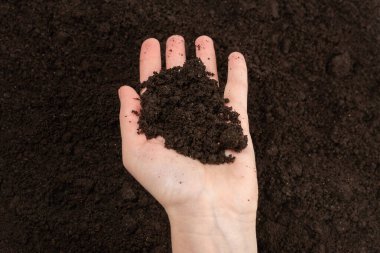 Kadın el ele tutuşuyor. Üst görünüm. 
