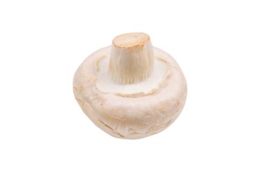 Şampiyon mantarı beyaz arka planda izole edilmiş. Üst görünüm. 