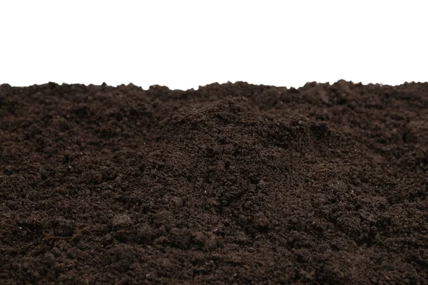 Bitkiler için kara toprak. Üst görünüm. 