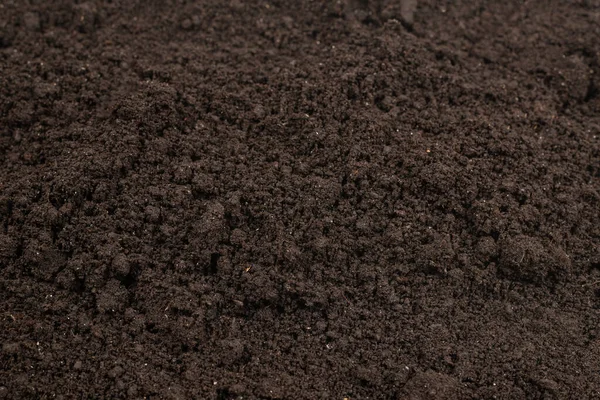 Zwart Land Voor Plantenachtergrond Bovenaanzicht — Stockfoto