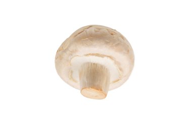 Şampiyon mantarı beyaz arka planda izole edilmiş. Üst görünüm. 