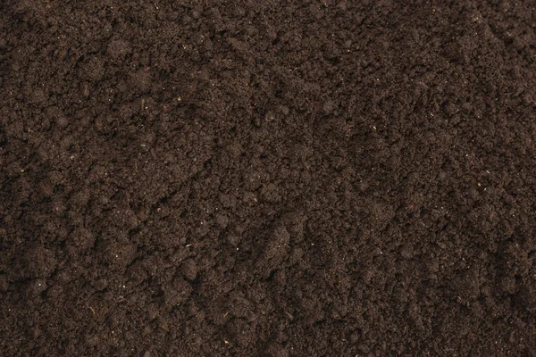 Black Land Plant Background Top View — Stock Photo, Image