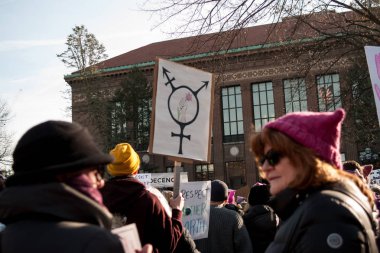 Ann Arbor Michigan 2018 kadın Mart