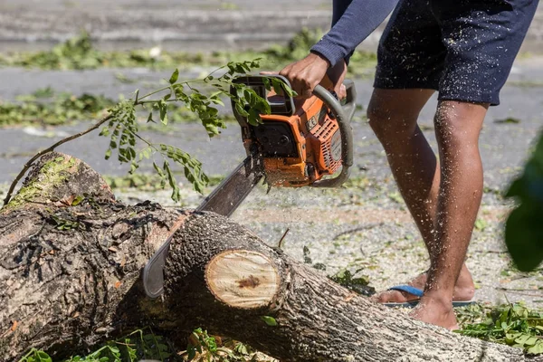 Άνθρωπος Κόβει Δέντρο Υλοτόμηση Δέντρων Αλυσοπρίονο Εργαστεί Χωρίς Ασφάλεια — Φωτογραφία Αρχείου