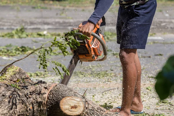 Homme Coupe Arbre Abattage Arbre Avec Tronçonneuse Pour Travailler Sans — Photo