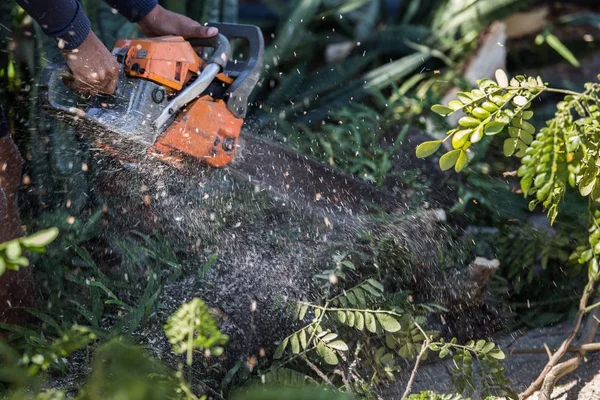 Man Snijdt Boom Kappen Boom Met Kettingzaag Werken Zonder Veiligheid — Stockfoto