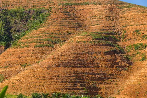 Grote Berggebied Wordt Doorsneden Van Boom Voor Groeien Oliepalmplantages Ontbossing — Stockfoto