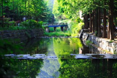 Temiz hava ve güzel doğal sahne... Jangtaesan. Doğal orman. SEO-gu, Daejeon