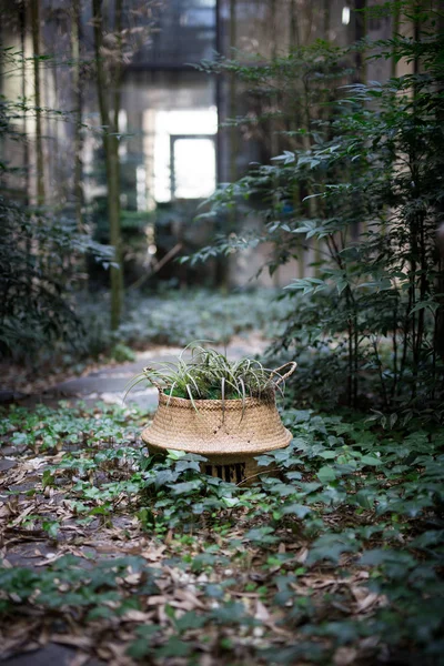 Bir rattan sepet bahçe içinde