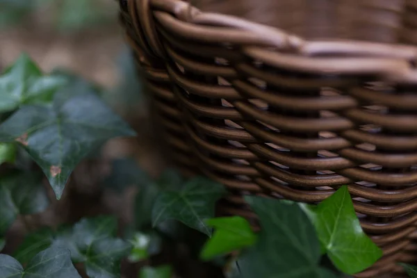 Bir rattan sepet bahçe içinde