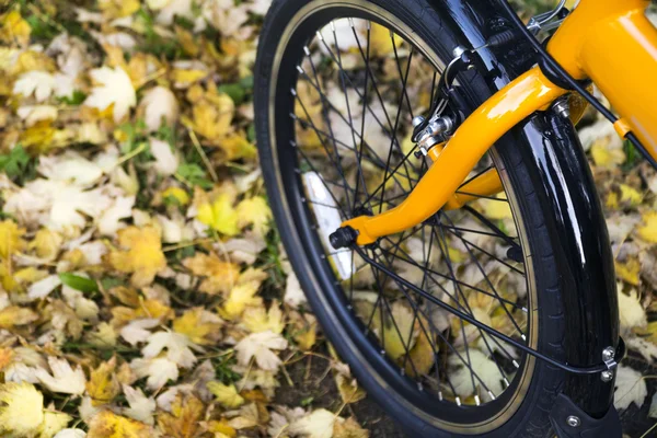 Bike at the forest on autumn day. — Stock Photo, Image