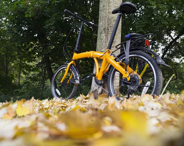 Велосипед в лесу осенний день . — стоковое фото
