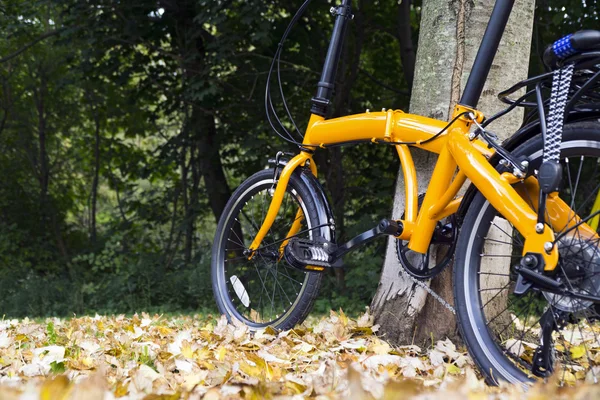 Bike at the forest on autumn day. — Stock Photo, Image