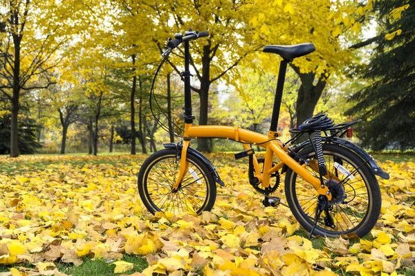 Orange folding bike in the forest