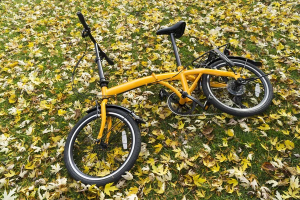 Orange, skládací kolo v lese — Stock fotografie