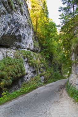 Dağ yolundan iki taş arasında