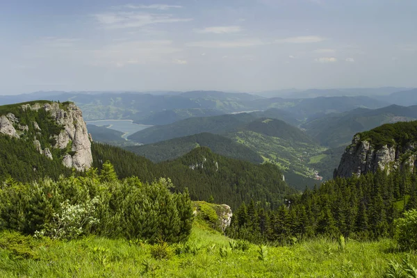 Zomer berglandschap van de weide — Stockfoto