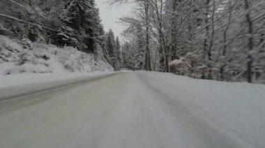 Araba Ön tampon kamera