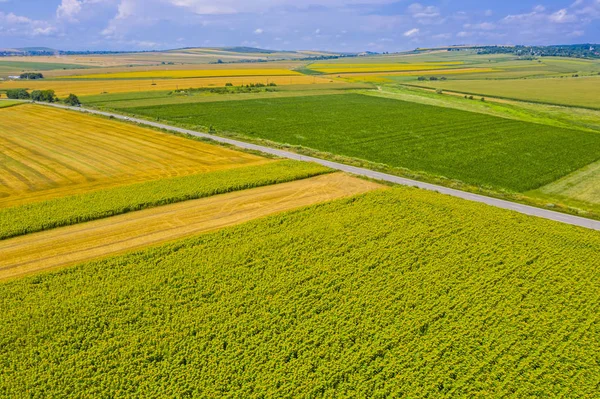 Aerial summer fields and road — ストック写真