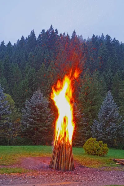 ไฟไหม้ค่ายใกล้ป่า — ภาพถ่ายสต็อก