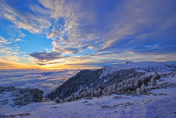 Paysage de montagne d'hiver au lever du soleil — Photo