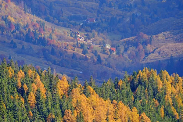 Осінні дерева і село позаду — стокове фото