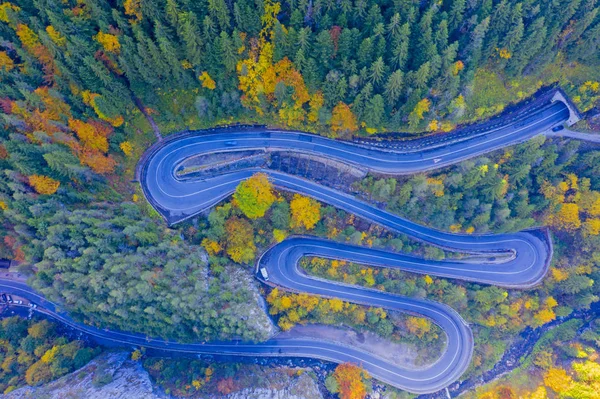 Curvy road in autumn forest — Stock Photo, Image