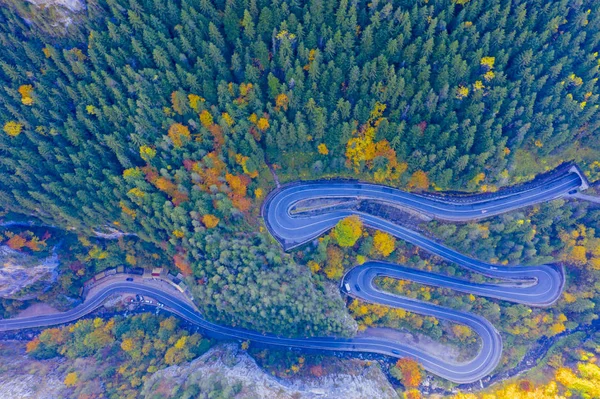 Above view of autumn forest and road — Stock Photo, Image