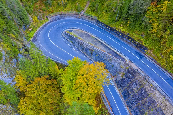 Carretera y árboles de otoño — Foto de Stock