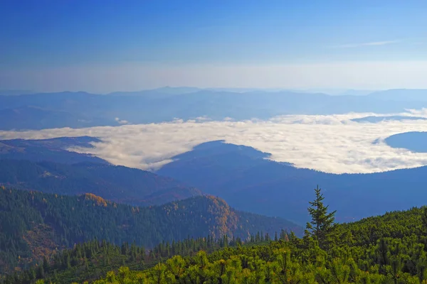 River valley with mist — Stock Photo, Image