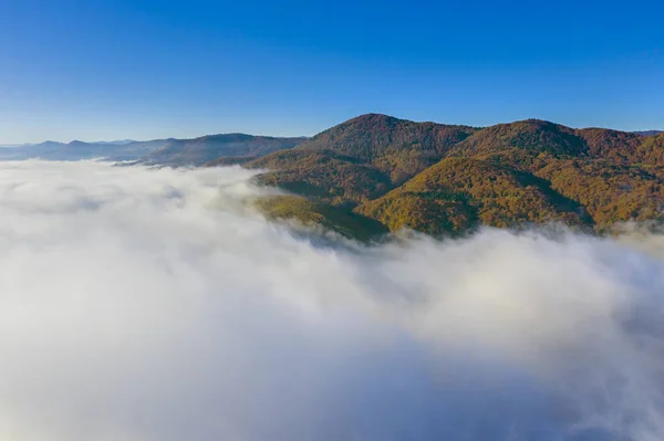 Brouillard et forêt d'automne — Photo
