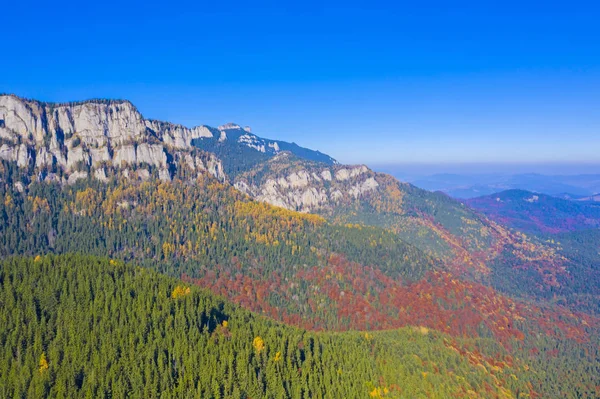 Sonbaharın güzel dağ orman — Stok fotoğraf