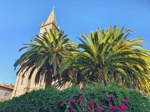 Piante tropicali e torre della chiesa — Foto Stock