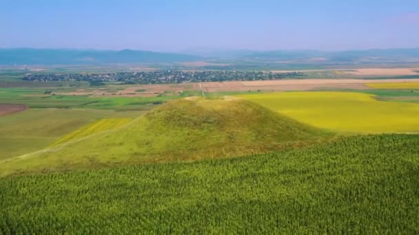 Літаючий безпілотник над пагорбом в літньому сільському пейзажі — стокове відео