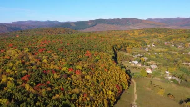 Vliegende drone in landelijk landschap, vanuit de lucht — Stockvideo