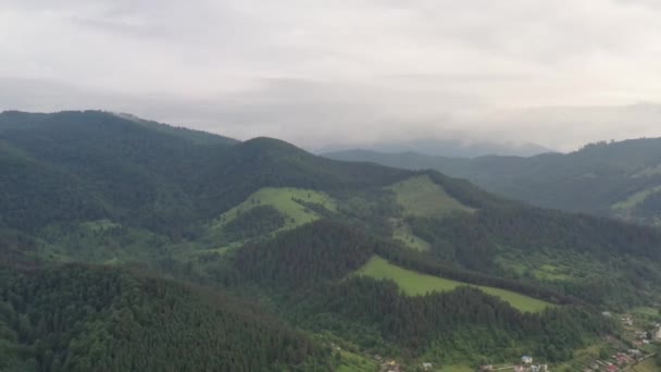 Latanie w góry, widok z lotu ptaka na zielony las latem — Wideo stockowe