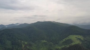 Yağmur sonrası dağ ormanlarının hava manzarası, yaz ormanı
