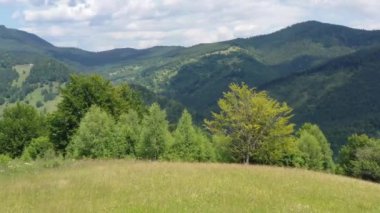 Yeşil otlaktaki ahşap kulübenin yanında uçan drone, arkasında kayalık dağ, havadan yaz manzarası