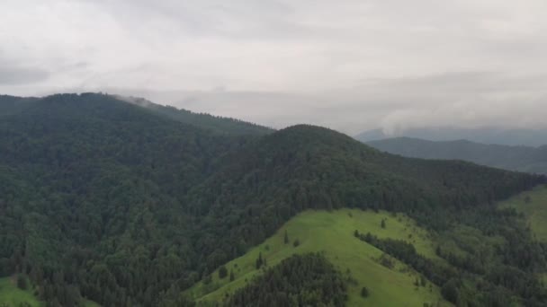 Yağmurdan sonra uçan dron, hava sahnesi — Stok video