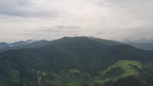 Vista aerea della foresta di montagna dopo la pioggia, foresta estiva — Video Stock