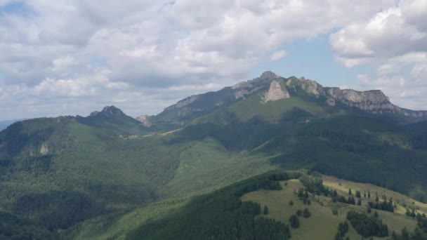 Dağ yaz sahnesi, ormanın üstünde uçan dron. — Stok video