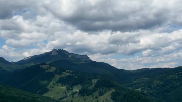 Відео про проміжок часу зеленого лісу, вид на літній ліс і рухомі хмари — стокове відео