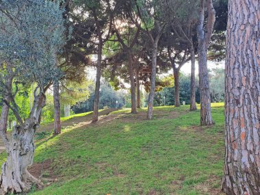 Montjuic Dağı 'ndaki yokuş yukarı merdivenler, Joan Brossa bahçeleri, Barcelona' nın önemli simgeleri.