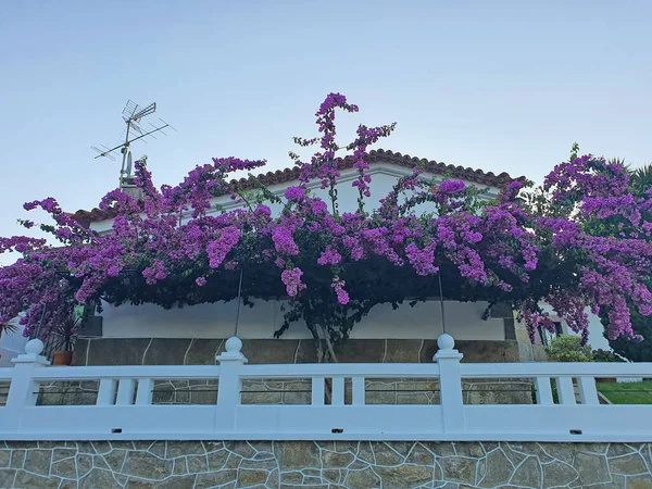 Bella Casa Decorata Con Fiori Spagna — Foto Stock