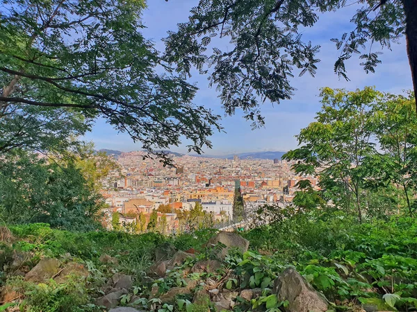 Barcelona Nın Doğadan Montjuic Hill Den Havadan Görünüşü — Stok fotoğraf