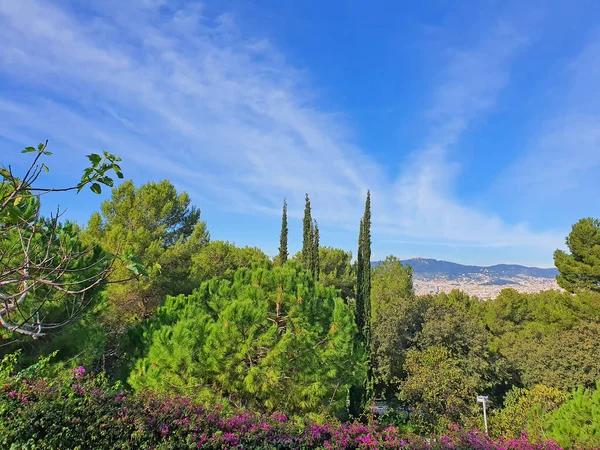 Wunderschöne Gärten Und Barcelona Panorama Joan Brossa Gärten Auf Dem — Stockfoto