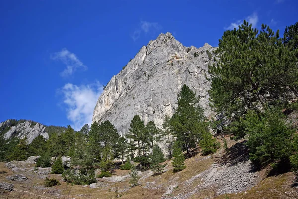 Evergreen Stromy Skalnatá Horská Krajina Konci Podzimu Rumunské Karpaty — Stock fotografie