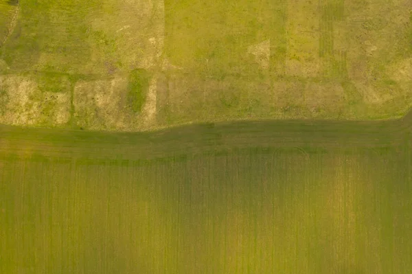 Зеленая Сцена Сверху Поле Пастбища — стоковое фото