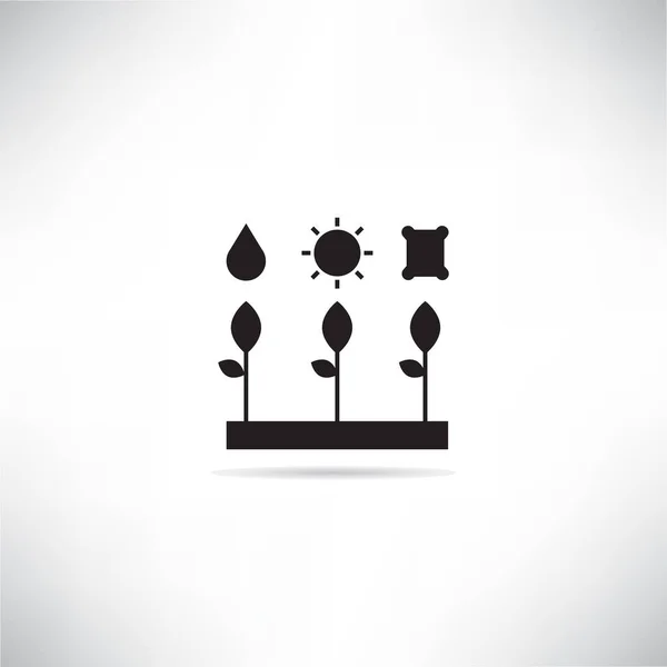 Plant Water Light Fertilizer Smart Agriculture Concept Icon — Stock Vector